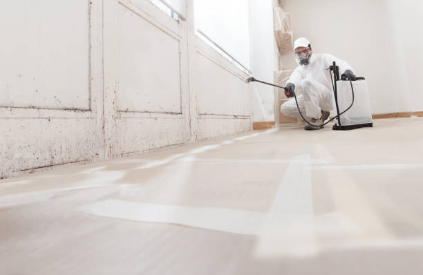 24/7 Emergency Attic Mold Removal experts in Clearfield, PA